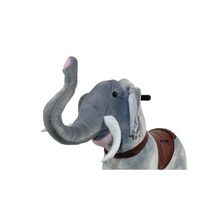  ride on Elephant